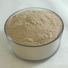 Echinacea pur. Root Powder - Organic